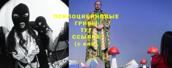 гашик Верхнеуральск